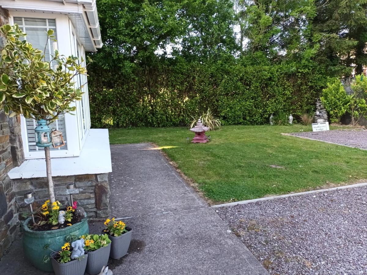 Mulberry Lodge Blarney Εξωτερικό φωτογραφία
